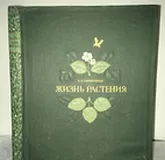 Старая книга